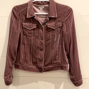 Sundance Catalog Wren Velvet Jacket